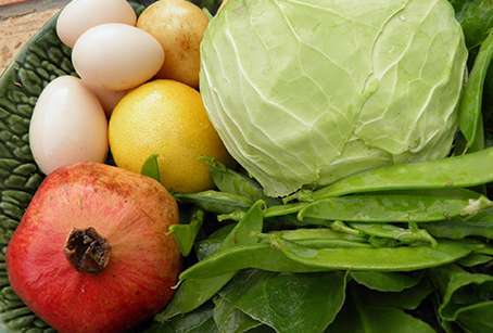 El ovolactovegetarianismo que es