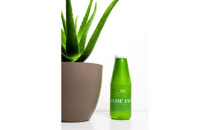Jugo Aloe 100% natural 1:1 estabilizado en frío