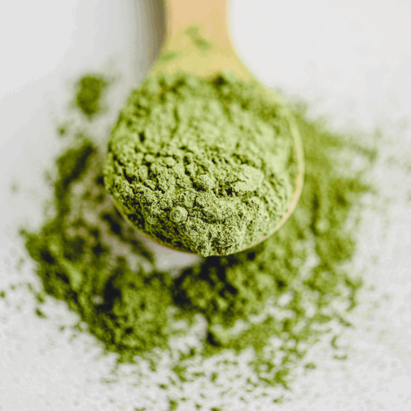 Té Matcha Culinario Orgánico - Imagen 3