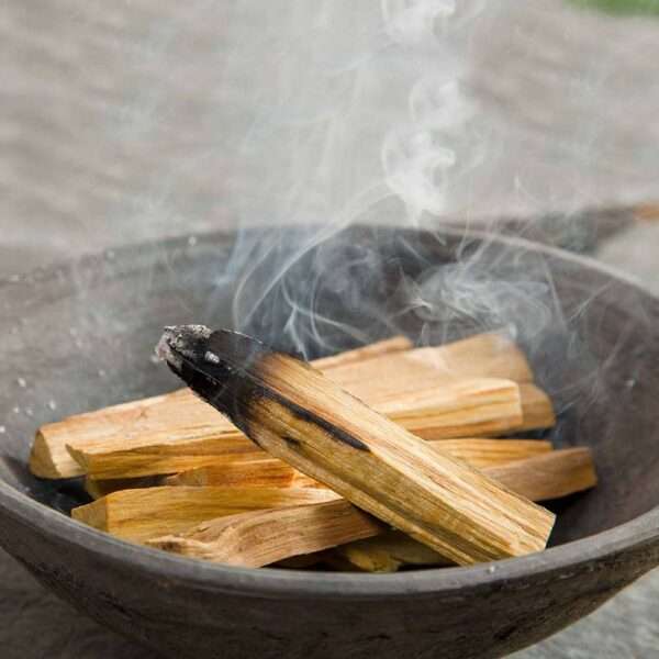 100g Palos de árbol verde de palo santo 10-15 Palitos - Imagen 2