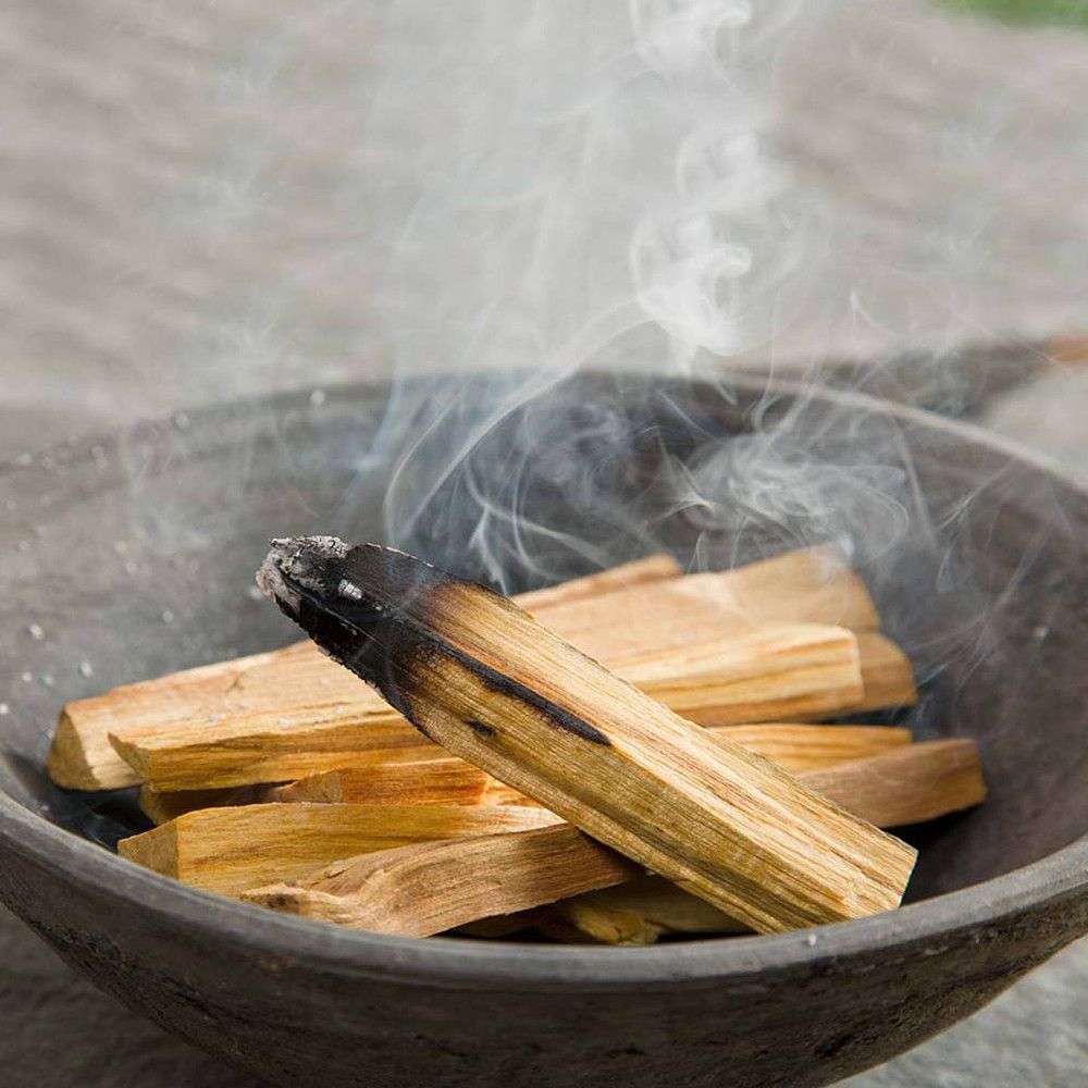 100g Palos de árbol verde de palo santo 10-15 Palitos - Imagen 2