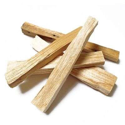 100g Palos de árbol verde de palo santo 10-15 Palitos - Imagen 3
