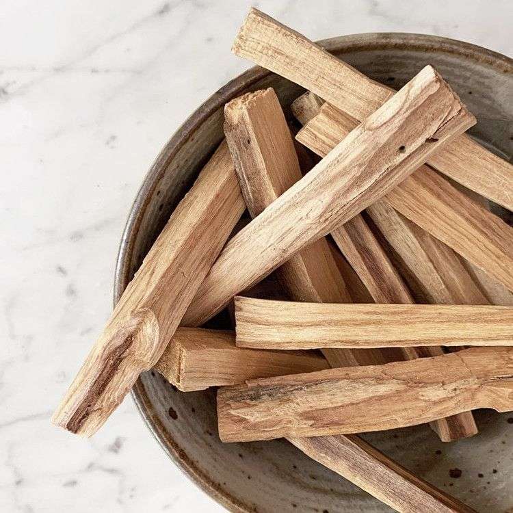 100g Palos de árbol verde de palo santo 10-15 Palitos - Imagen 5